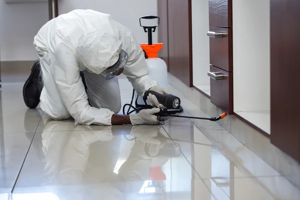 Discover Effective Pest Control Las Vegas Services post thumbnail image