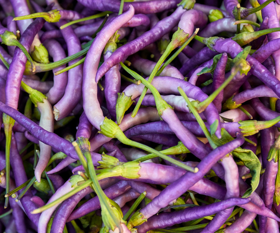 Cooking with Purple Cayenne Pepper: Recipes for Bold Flavors post thumbnail image