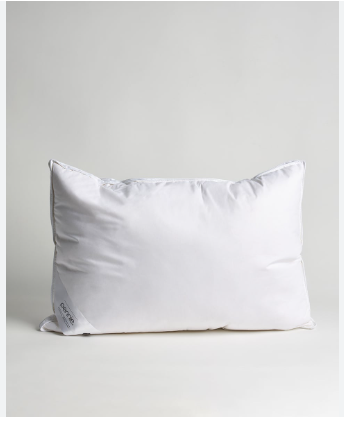 The Comfortable Choice: Exploring the Benefits of Feather Pillows post thumbnail image