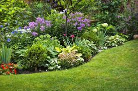 Discovering Landscaping Excellence: NJ’s Top Companies post thumbnail image